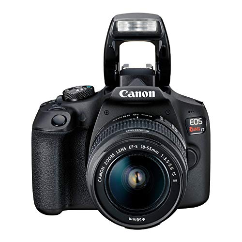 Canon EOS Rebel T7 DSLR Camera